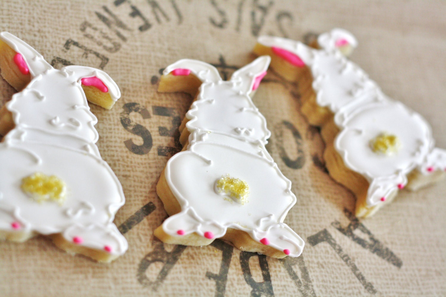 Cotton Tail Bunny Decorated Sugar Cookies