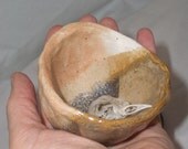 Goth Assemblage Robin's Last Nest Nature Art Sculpture Curiosity Piece Ceramic OOAK Reclaimed Handmade Aura Rose Free Gift Wrap