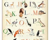 French Alphabet  - Wonderful Animal  Alphabet Print - 11 x 17 inch - ChildsTouch
