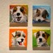 Series of 4 miniature custom paintings of YOUR DOG (3x3")