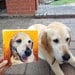 YOUR Dog - Custom Dog Portrait on 6x6 canvas