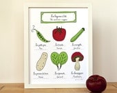 Summer Vegetables - Kitchen decor art Print (Fruits and Vegetables Food series) - 11x14 French Retro style Botanical France Poster