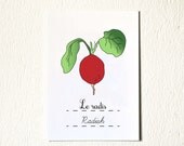 Spring Kitchen Art 'Radish' Art Print 5x7 Red Gift for her