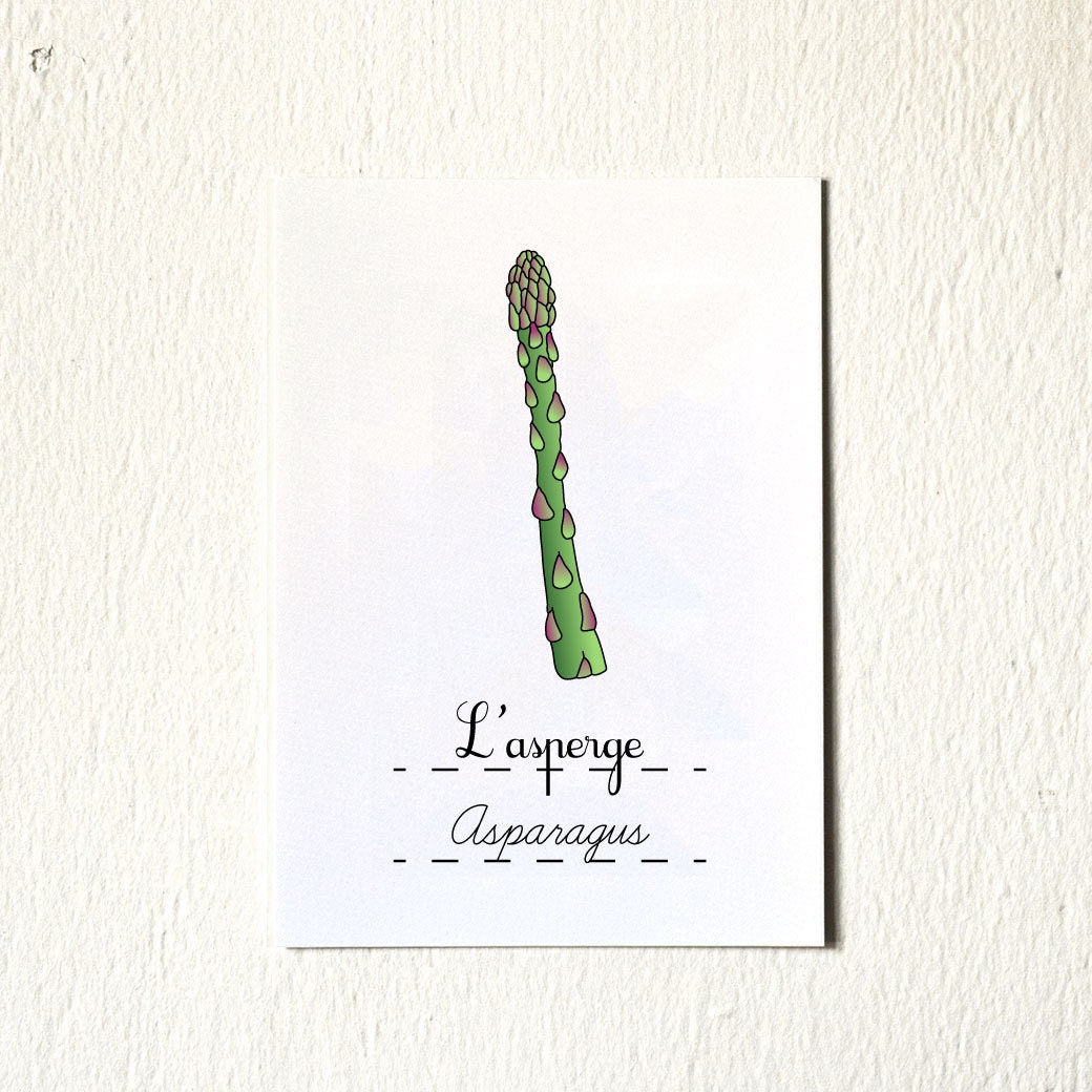 Kitchen Art Spring 'Asparagus' vegetable Food print 5x7 Green Garden