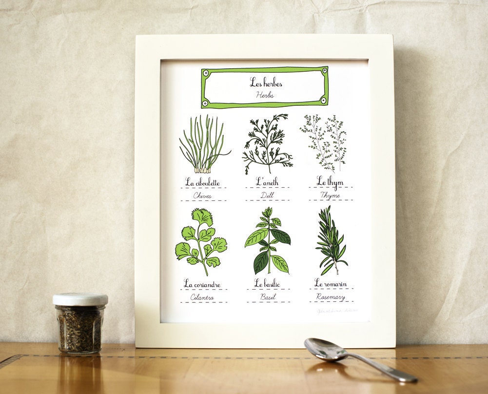 Herbs Kitchen Art 8x10 art print - Green Home decor Eco friendly Food Culinary Gourmet Mothers Day Gift for Mom