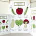 Herbs - French Kitchen Art Poster - Green Home Decor Botanical Plate 13x19 art print for a gourmet Aromatics Culinary gift for Mom