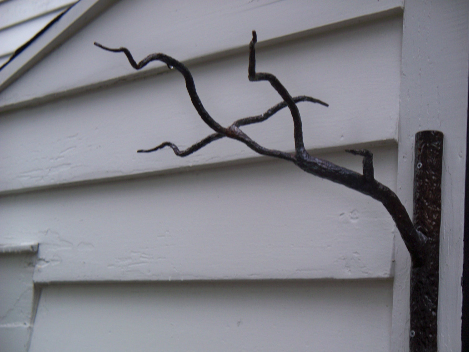 Decorative branch plant hanger