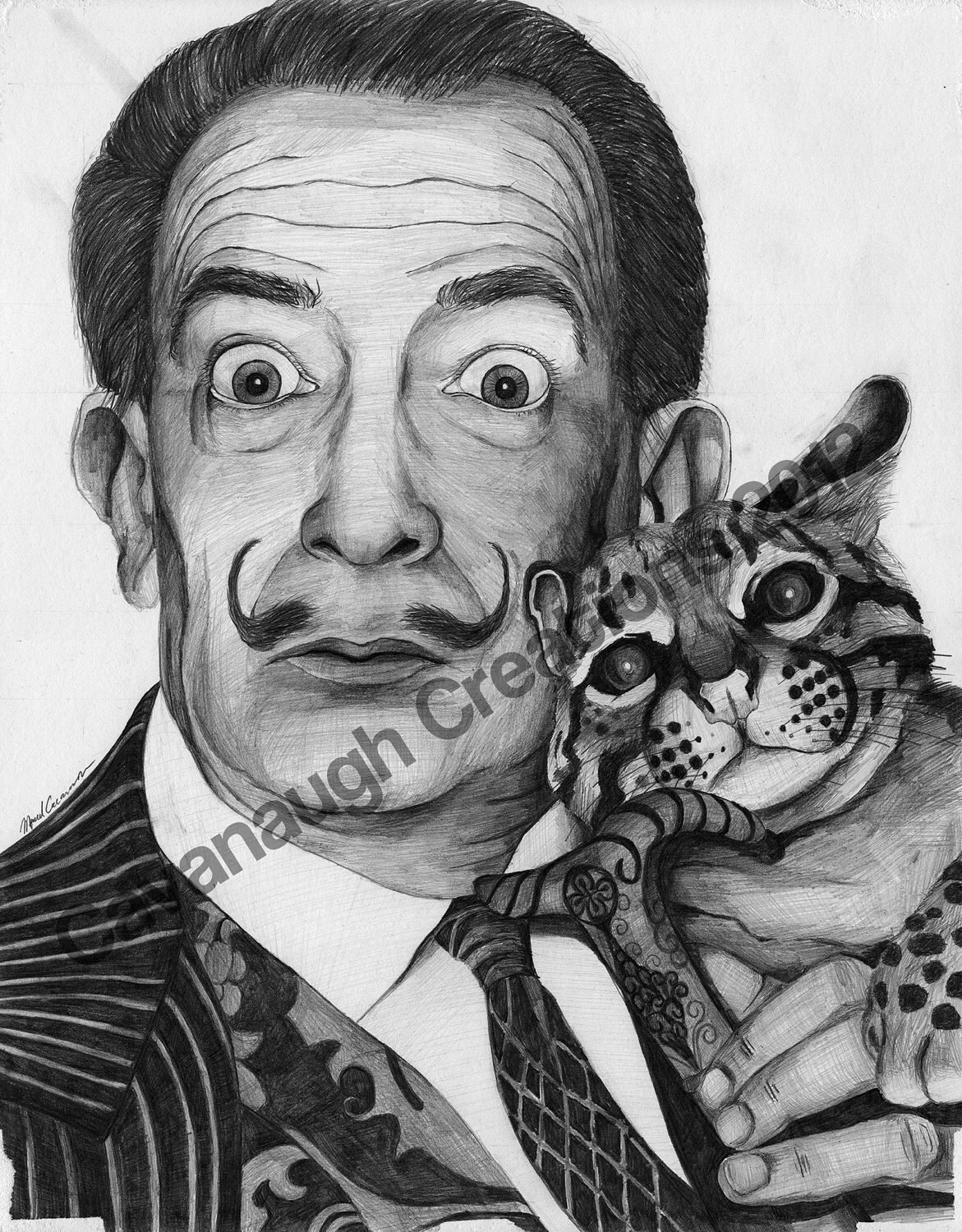 Salvador Dali Drawings