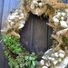 The Oceanside Shell & Succulent