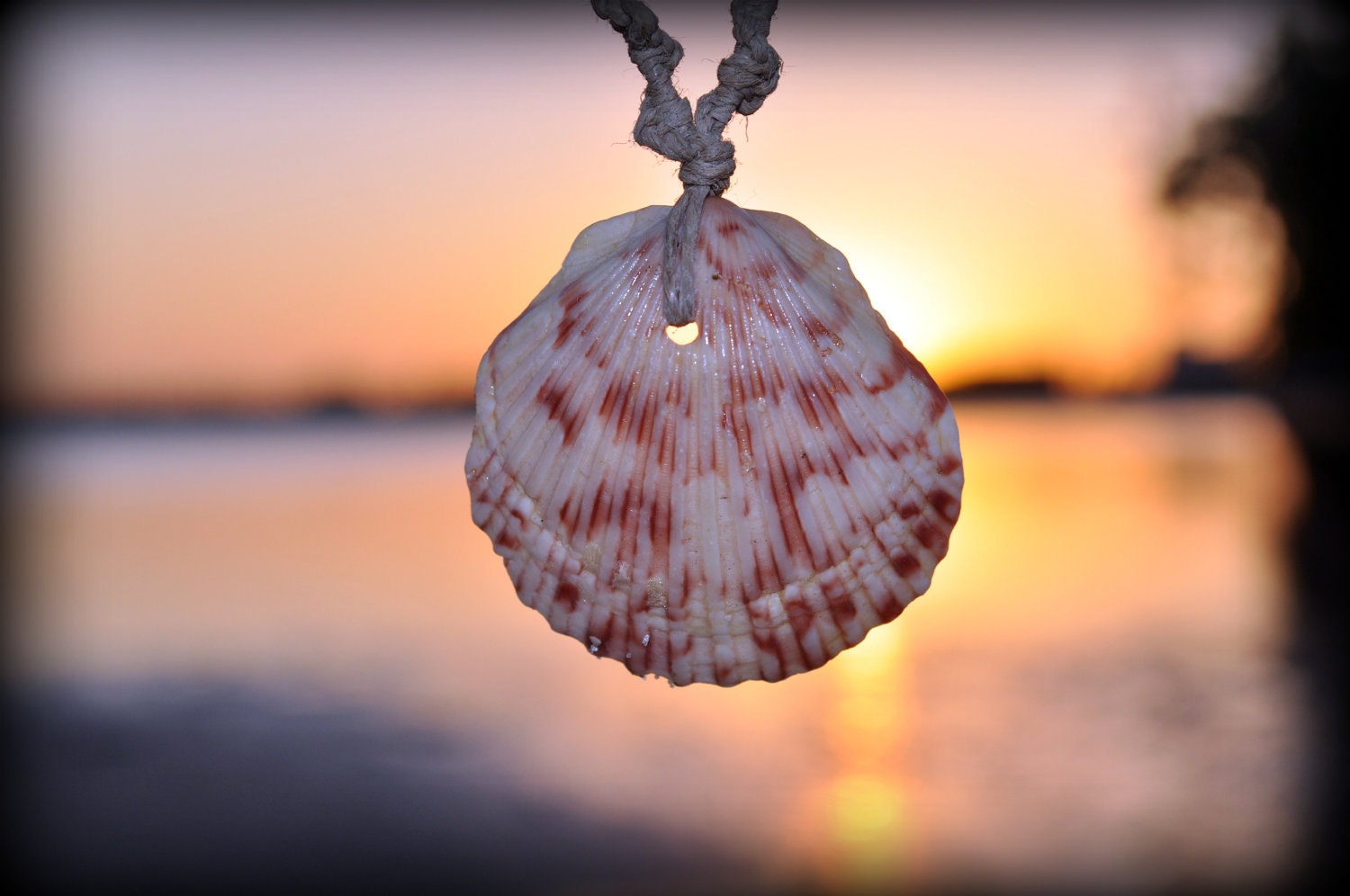 Peach Scallop Necklace
