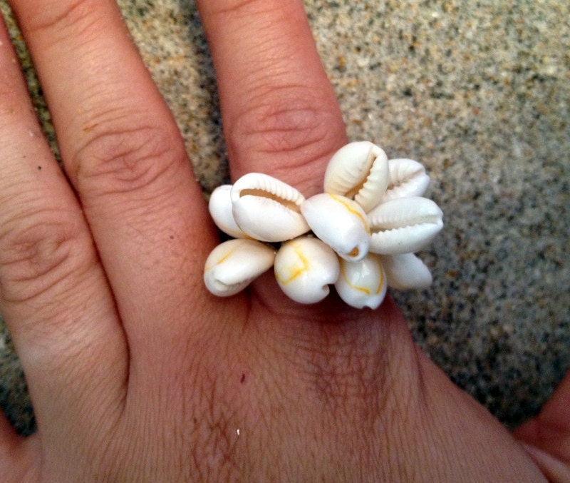 Sea Shell Rings- Ships directly from FLORIDA