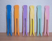Retro Clothes Pins set of 6