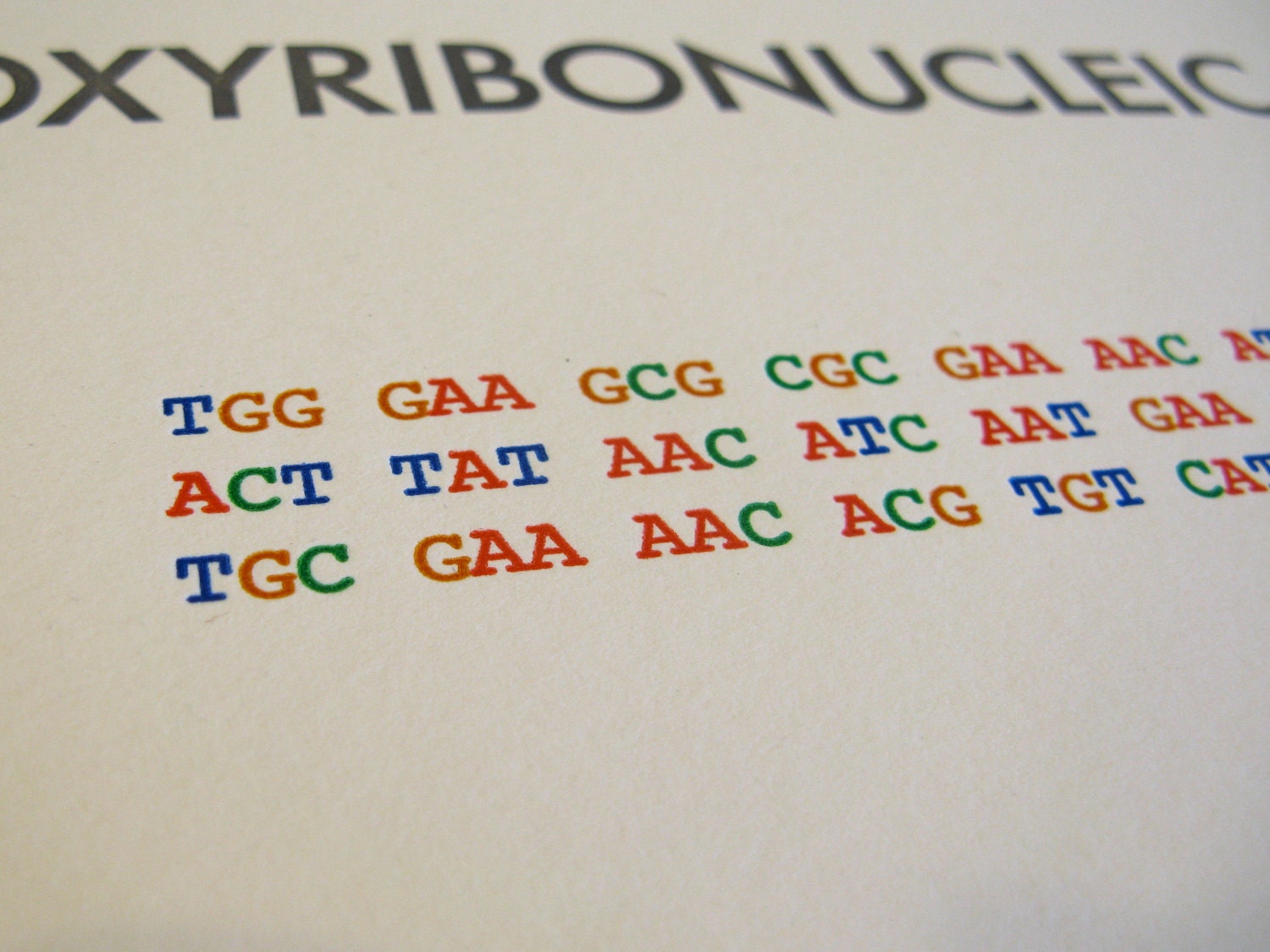 DNA letterpress poster -- science geekery