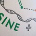 DNA letterpress poster -- science geekery