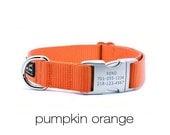Laser Engraved Personalized Buckle Webbing Dog Collar - Pumpkin Orange
