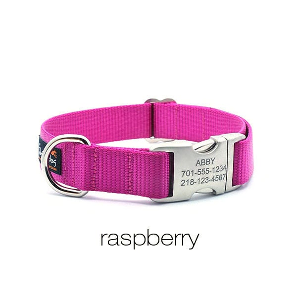 Laser Engraved Personalized Buckle Webbing Dog Collar - Raspberry