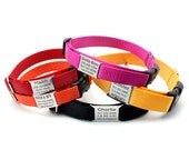 Stealth Personalized Nylon Dog Collar with Laser Engraved Personalized NamePlate Built In