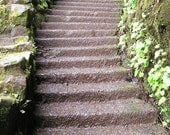 Enchanted Stairway 8x10 Fine Art Print