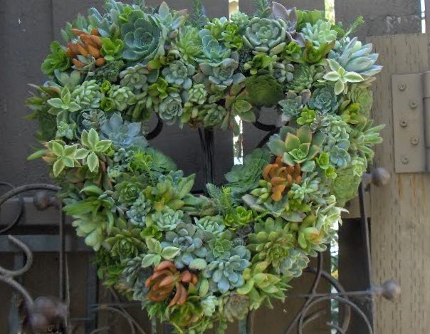 Succulent Live Wreath, Heart Succulent Wreath - Valentines Day Heart Shaped Wedding Succulent Wreath