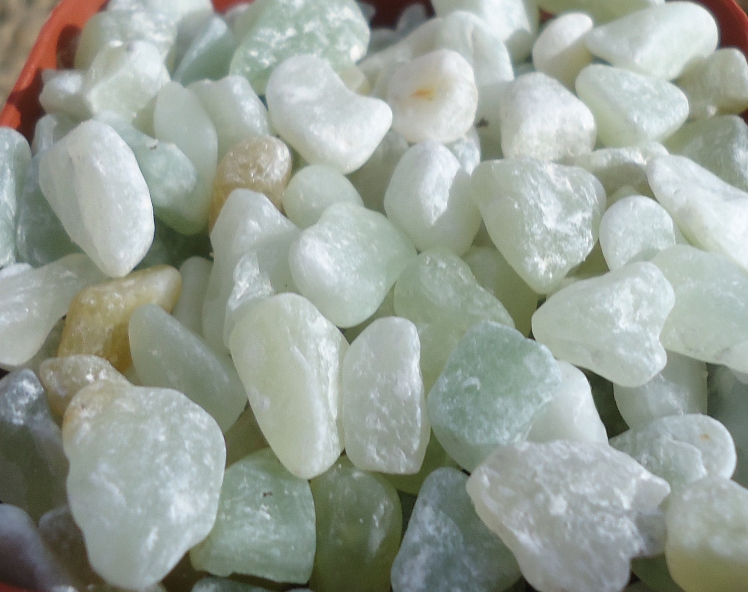 Bean Pebble-Jade.