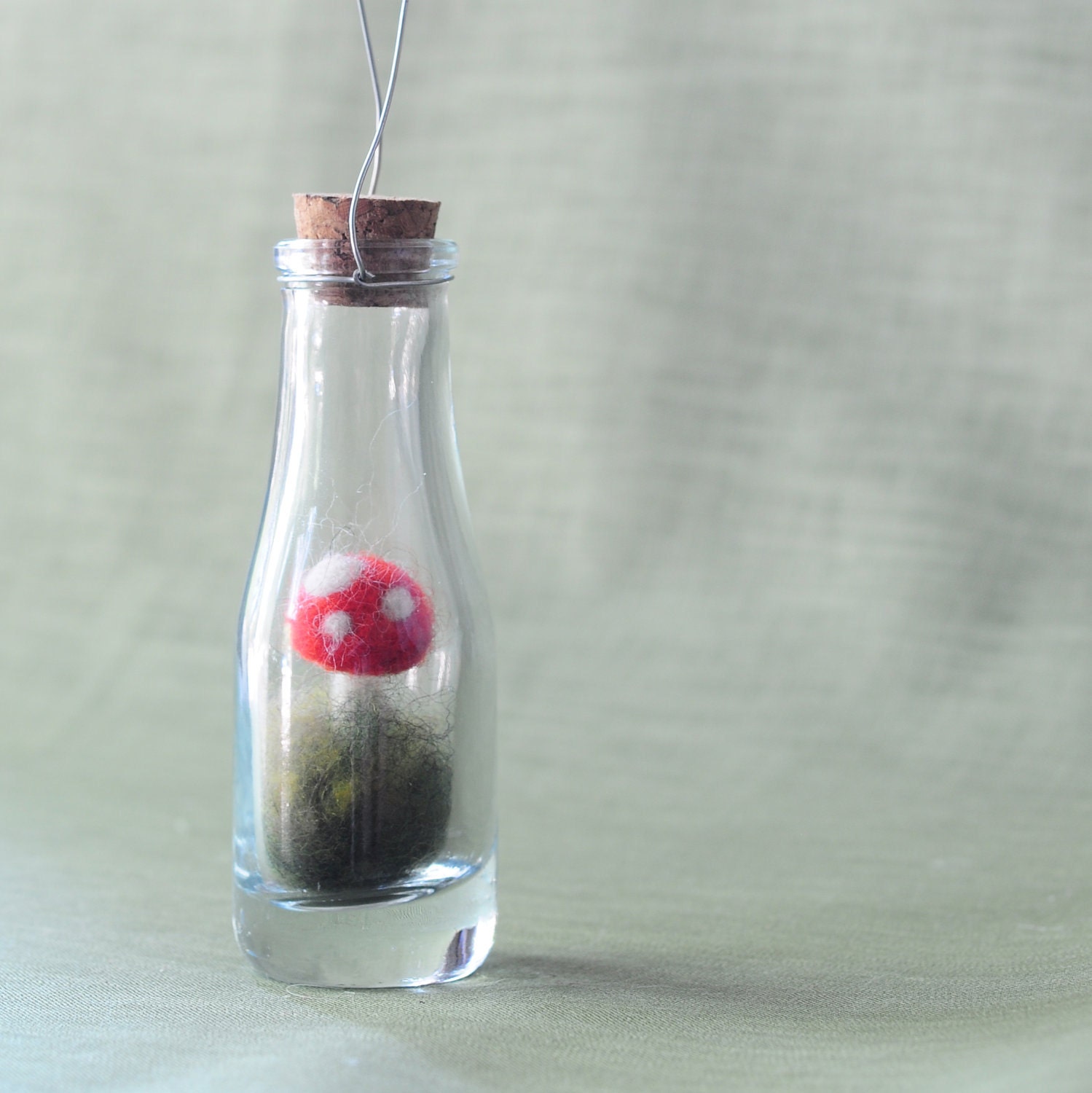 Lil Toadstool In A Bottle