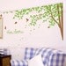 wall decals wall stickers  tree decals  - Green Sonata