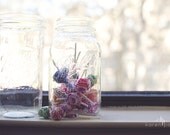 Vintage Ball Mason Jars, Set of 2, Shabby Chic Decor