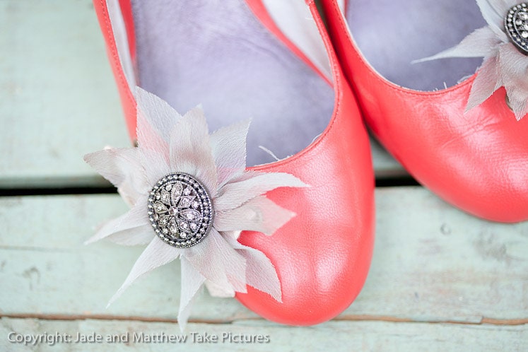 Shoe Clips