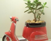 Succulent Jade planter Red Scooter diy kit Desk Accessories Dorm Room Decor
