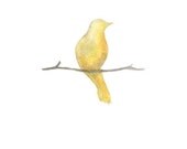 Serenity bird yellow / Shabby Chic / Minimal Chic / Wall Art / Archival Watercolor Print