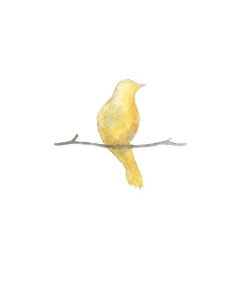 Serenity Birds 5x7 Watercolor 3 Prints for 30.00