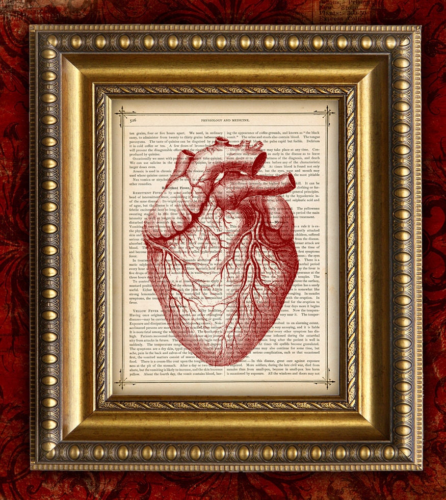 Vintage Book Page Art Print RED HEART recycled upcycled Antique Human ANATOMY Dictionary Art Print 8x10