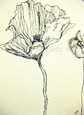 Tiny Black and White Poppy and Pod Drawing, Flower, Art, ACEO, Fine Art Print, Australia, Wedding, Thankyou Gift