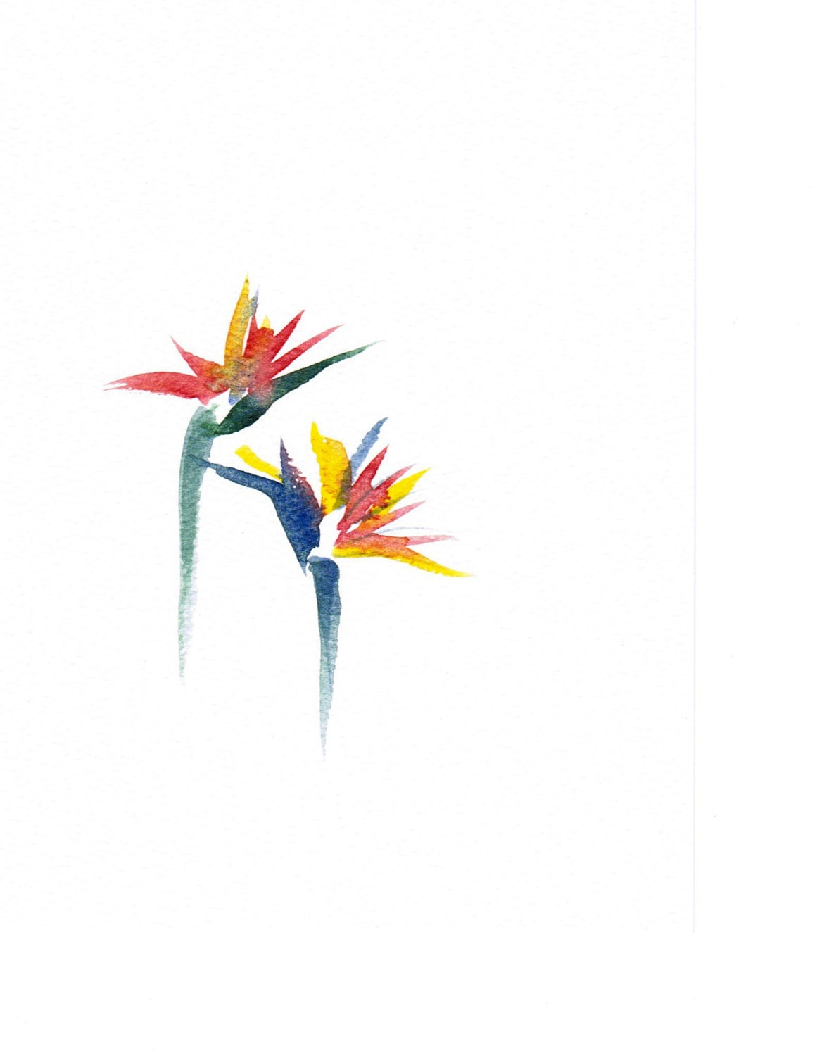 Handpainted Greeting Card Bird of Paradise Watercolor Art Any occasion Women Teens Blank Orange under 10