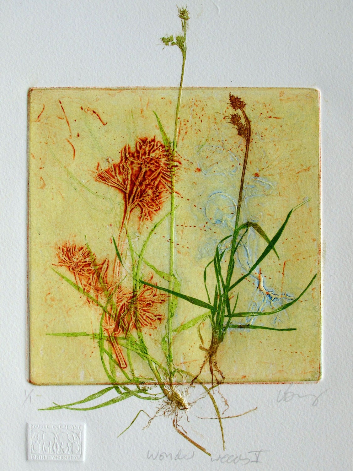 Collograph mono print, wonderful weeds. Botanical print.