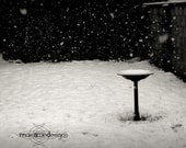 Bird Bath Winter Snow Black and White Fine Art Print Canvas