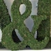 Moss Covered Ampersand (&) Wedding or Engagement Photo Shoot Prop ( 8 inches )