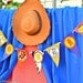 Toy Story " Round Up"  COMPLETE PACKAGE- Krown Kreations