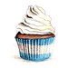 Cupcake Illustration