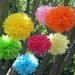 5 Tissue Paper Poms Plus 3 Paper Flowers...ANY COLORS