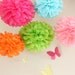 5 Tissue Paper Poms Plus 3 Paper Flowers...ANY COLORS