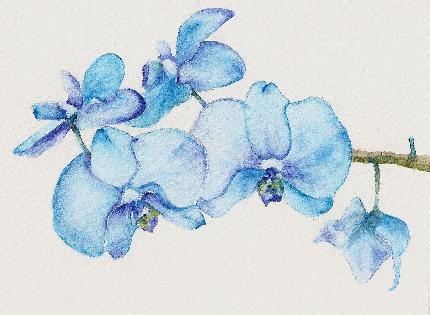 Blue Orchids Two - Art Print of watercolor painting 8x10- open edition print- flower spring blue turquoise nature