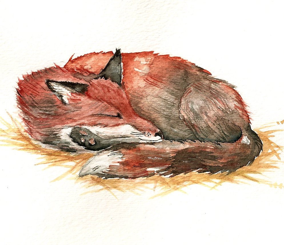 Sleeping Red Fox  Original Watercolor 6''x9'' wildlife nature art nap nursery art baby shower whimsical winter christmas new year's eve - Goosi