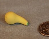 miniature squash