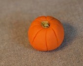 Miniature Pumpkin
