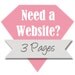 Need a Website, Professional Custom Website Design 3 Pages.