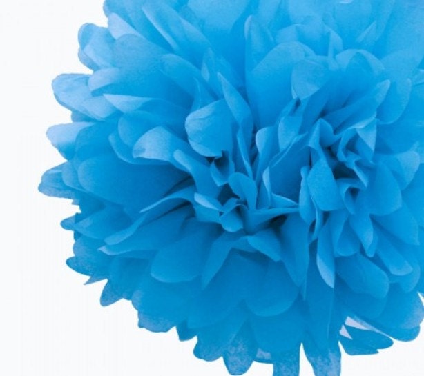 Pom Pom -Tissue Paper Pom Pom Baby Blue Il_170x135