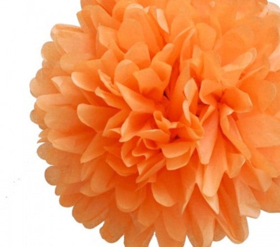 Tissue Paper Pom Pom Orange Il_570xn