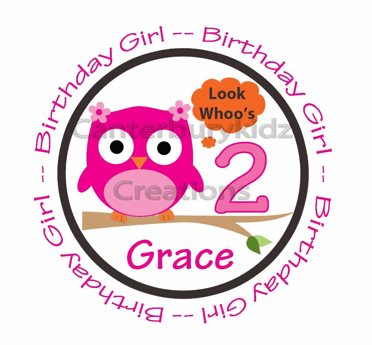 DIY Printable Birthday Girl Custom Iron on Transfer -- Personalized Design - Owl
