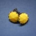 Day Brightener Sun-Yellow-and-Gold Clip Ons